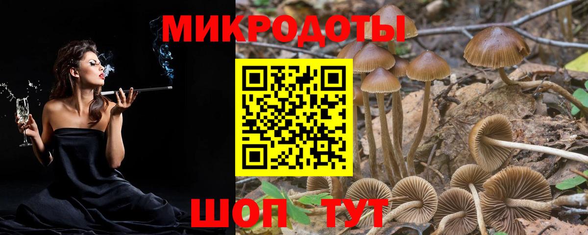 Псилоцибиновые грибы Psilocybine cubensis Куйбышев