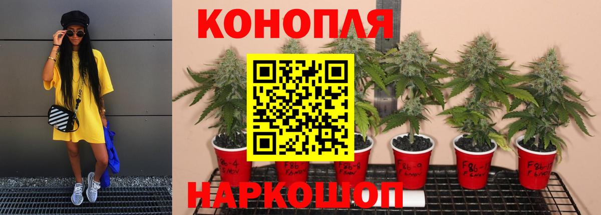 Шишки марихуана тримм Куйбышев